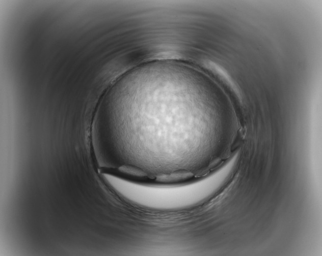 X0000088691225200706071513