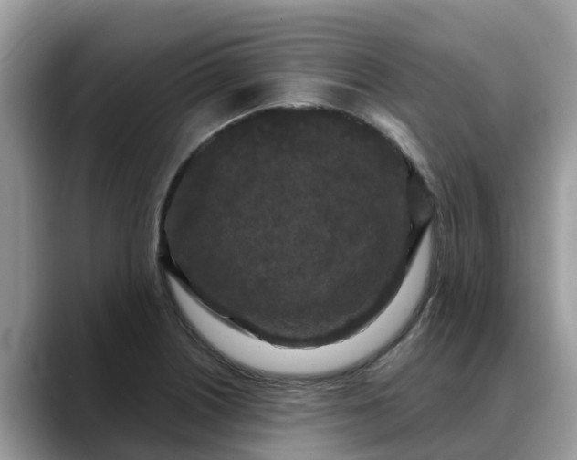 X0000088691226200706071513