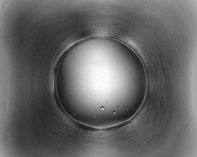 X0000088691227200706071513