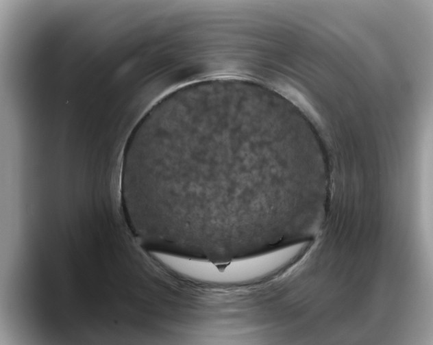 X0000088691228200706071513