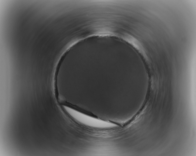 X0000088691229200706071513