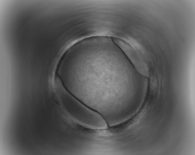 X0000088691230200706071513