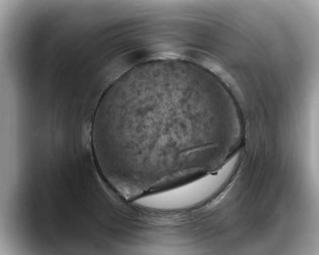 X0000088691233200706071513