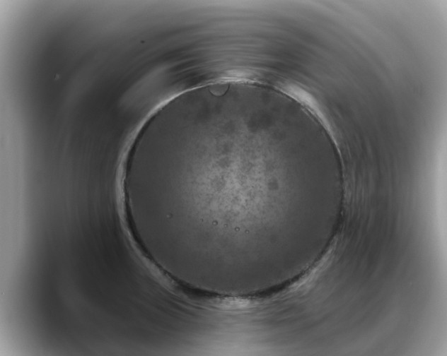 X0000088691235200706071513