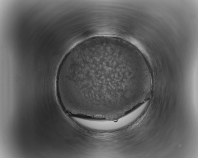 X0000088691237200706071513