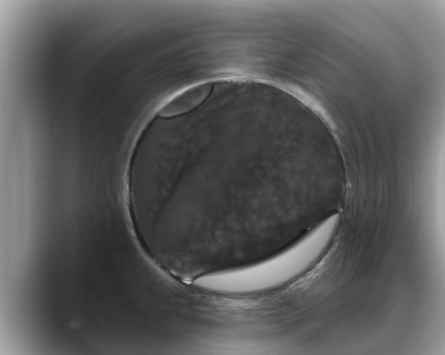 X0000088691239200706071513