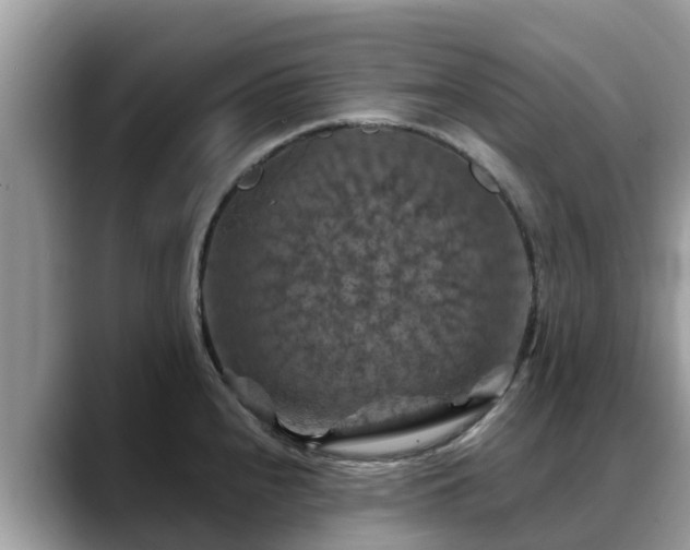 X0000088691240200706071513