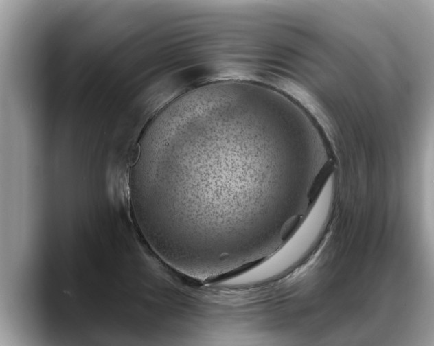 X0000088691241200706071513