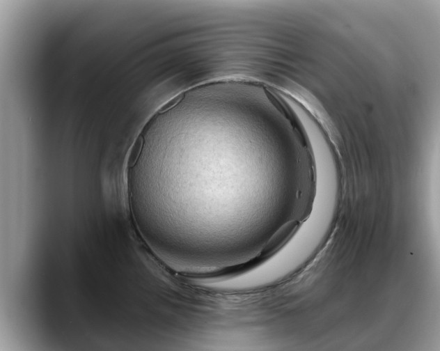 X0000088691242200706071513