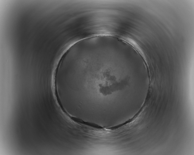 X0000088691243200706071513