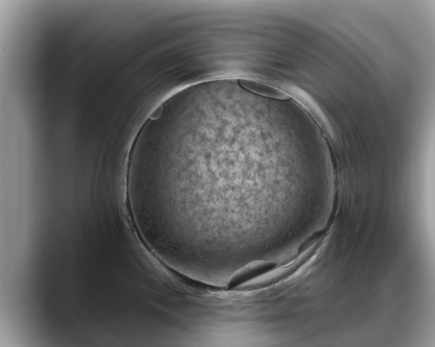 X0000088691244200706071513