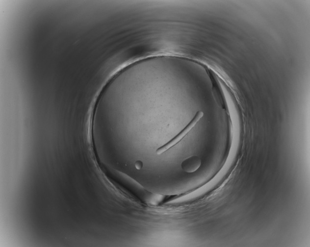 X0000088691246200706071513