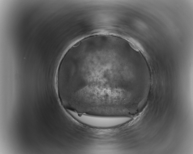 X0000088691247200706071513