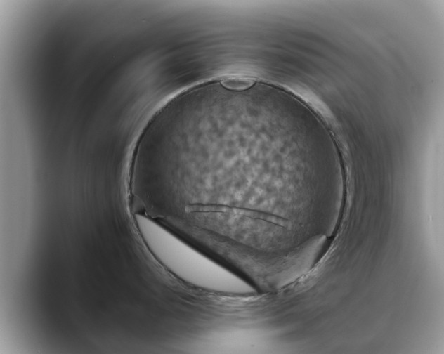 X0000088691248200706071513