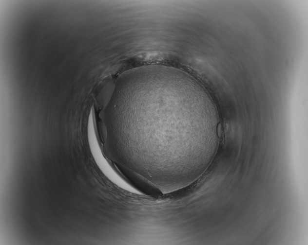 X0000088691250200706071513