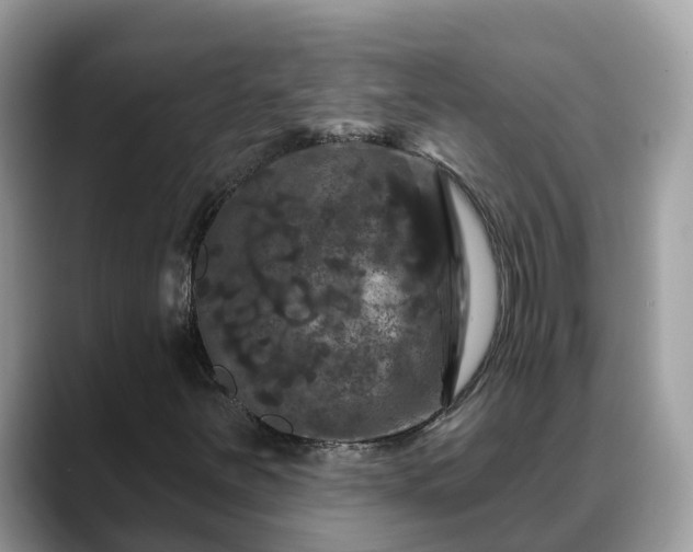 X0000088691251200706071513
