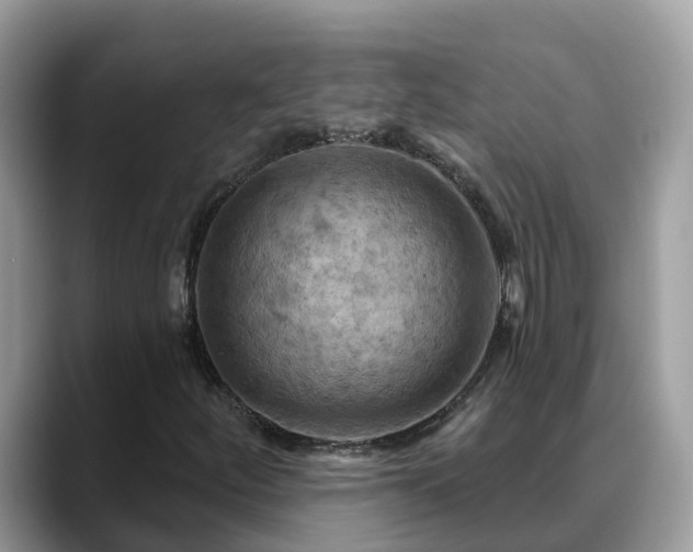 X0000088691252200706071513
