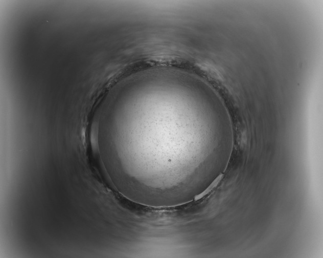 X0000088691253200706071513