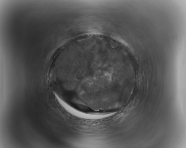 X0000088691255200706071513