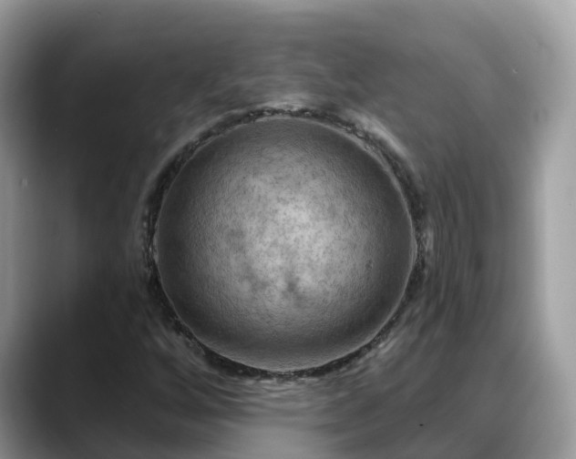 X0000088691256200706071513