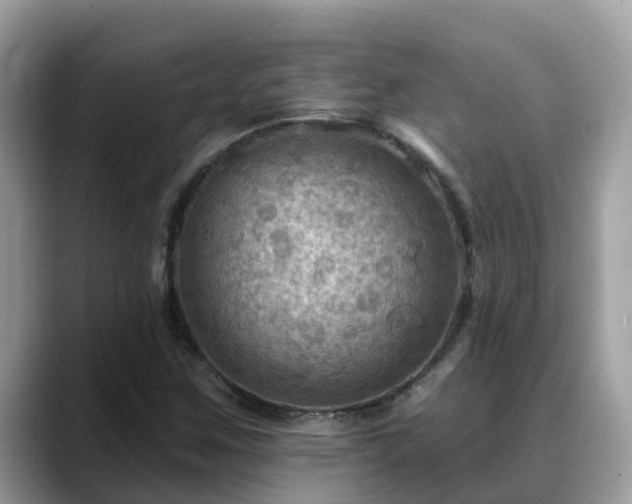 X0000088691259200706071512