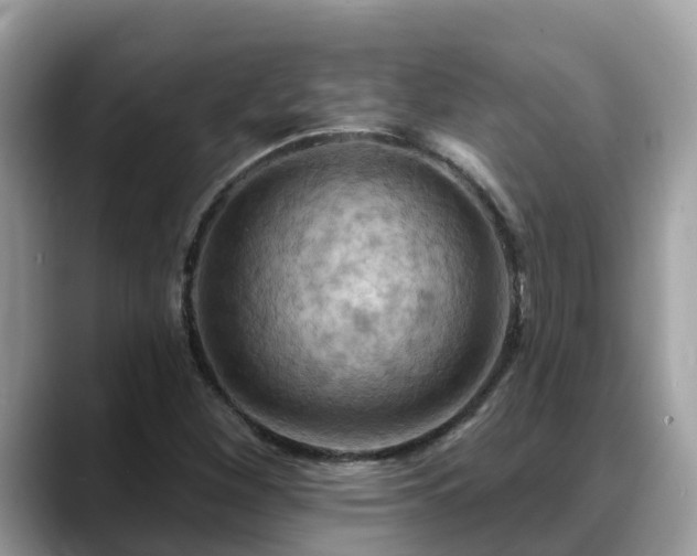 X0000088691260200706071512