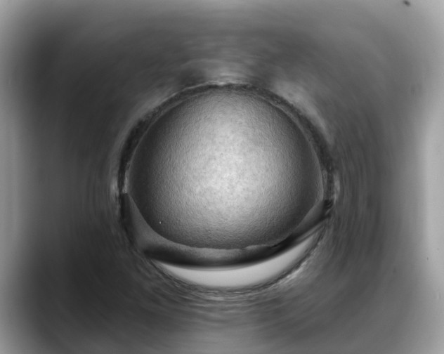 X0000088691261200706071512