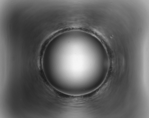 X0000088691262200706071512