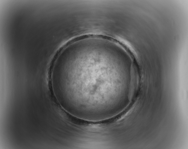 X0000088691264200706071512