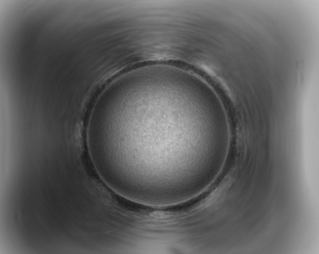 X0000088691265200706071512