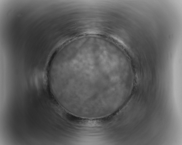 X0000088691266200706071512