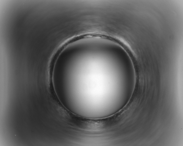 X0000088691270200706071512