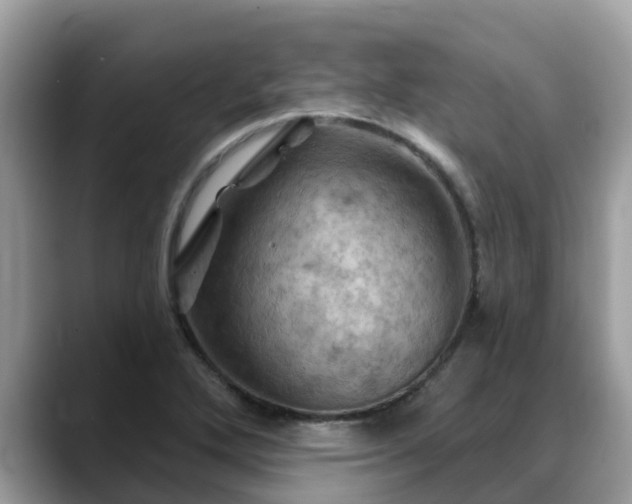X0000088691272200706071512