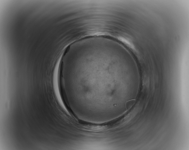 X0000088691273200706071512