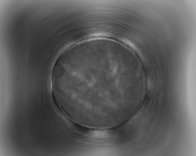 X0000088691274200706071512