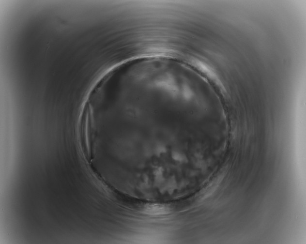 X0000088691275200706071512