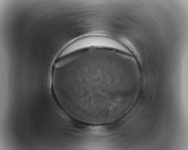 X0000088691276200706071512