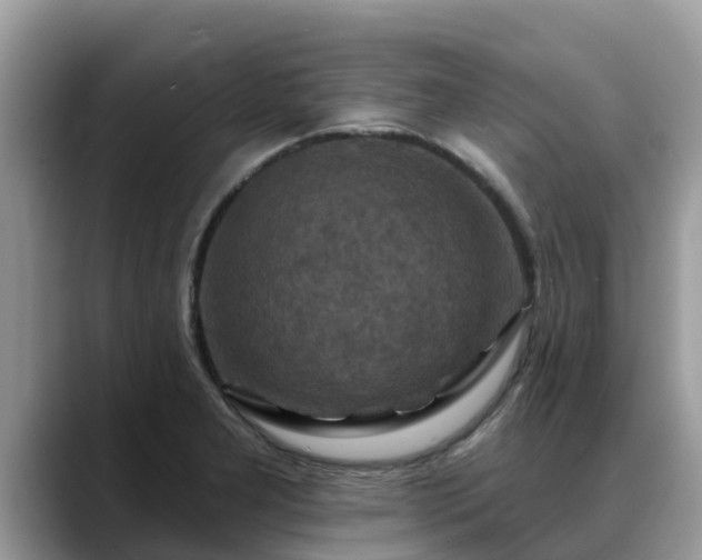 X0000088691277200706071512