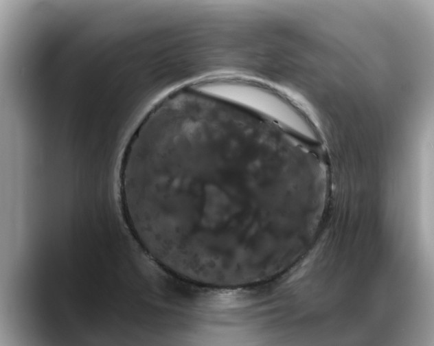 X0000088691279200706071512