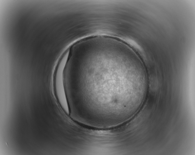 X0000088691280200706071512