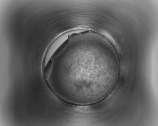 X0000088691284200706071512