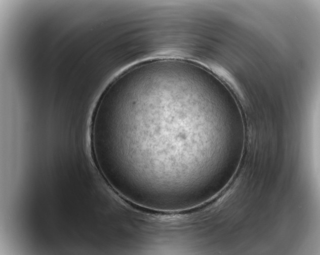 X0000088691288200706071512