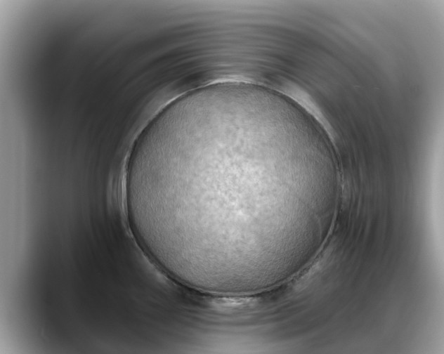 X0000088691290200706071512