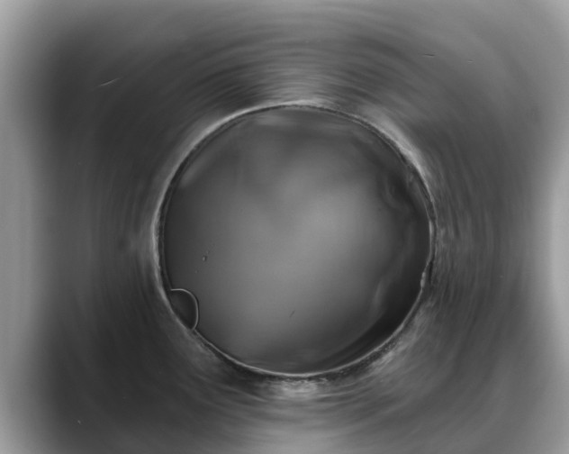 X0000088691291200706071512