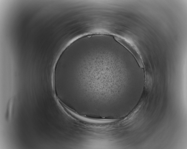 X0000088691295200706071512