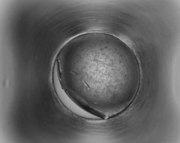 X0000088691296200706071512