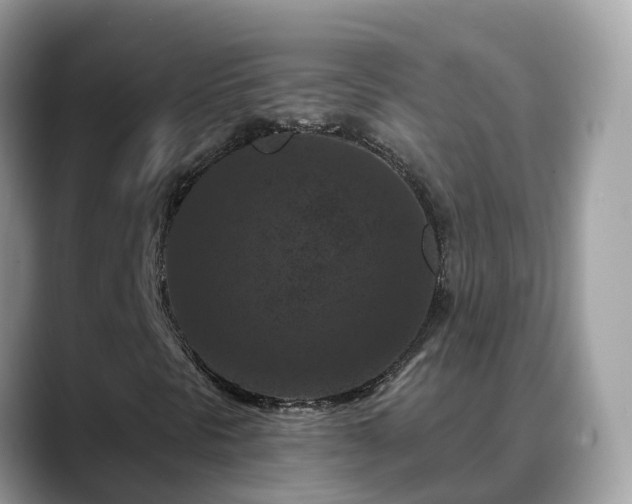 X0000088691297200706071511