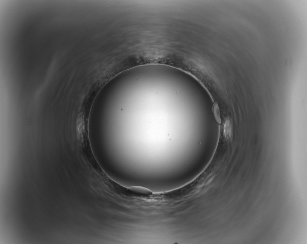 X0000088691299200706071511