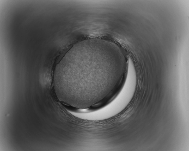 X0000088691300200706071511