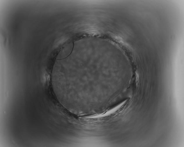 X0000088691302200706071511